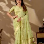 Pista Green Paithani Cotton Saree by Noir and Grace